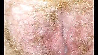 Hairy Mature Porn